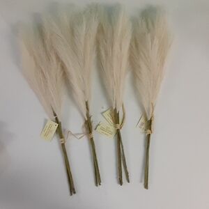 World Market, Faux Pampas Grass in Cream, 4 Bundles, 12 Stems, NEW